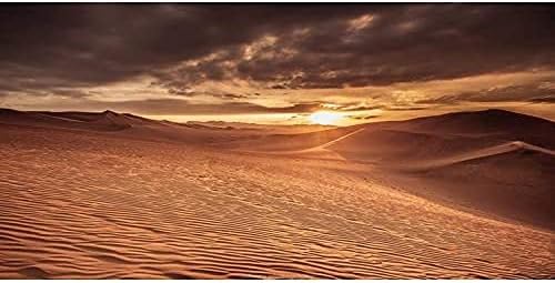 Огромен 36x20 инча Фон за Терариум със Слънцето и Пустинята Синьо Небе Оранжев Пясък Винил Фон за местообитанията на Влечугите
